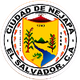 内贾帕 logo