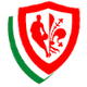艾尼克费伦泽 logo