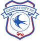 卡迪夫城市FC女足 logo