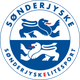 桑德捷斯基后备队 logo