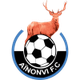艾农维 logo