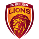 布琳狮子 logo