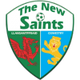 新圣徒女足 logo