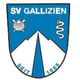 SV加利钦 logo