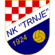 特瑞内 logo