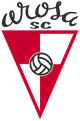 阿罗萨U19 logo