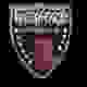 威福特U19 logo