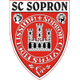 索普龙 logo